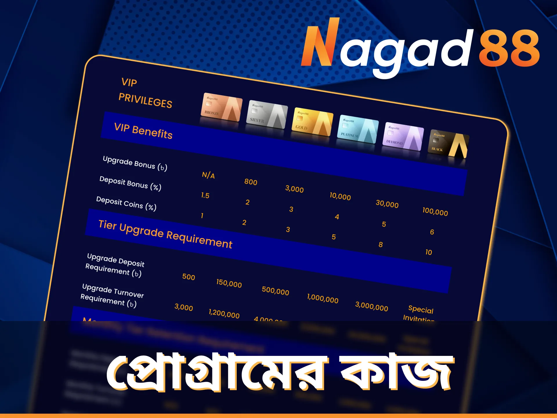 Nagad88 VIP প্রোগ্রাম কীভাবে কাজ করে তা জানুন।